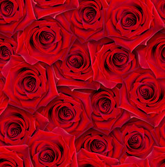 Fototapete Rosenmuster Rote Rosenknospen florales Streumuster  © Photojulia