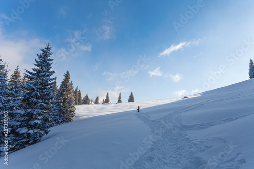 Winter landscape of tourist walking to the "Rusinowa Polana" - glade in Tatry Mountains, Poland