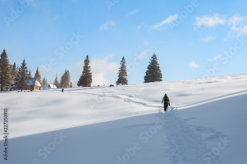 Winter landscape of tourist walking to the "Rusinowa Polana" - glade in Tatry Mountains, Poland