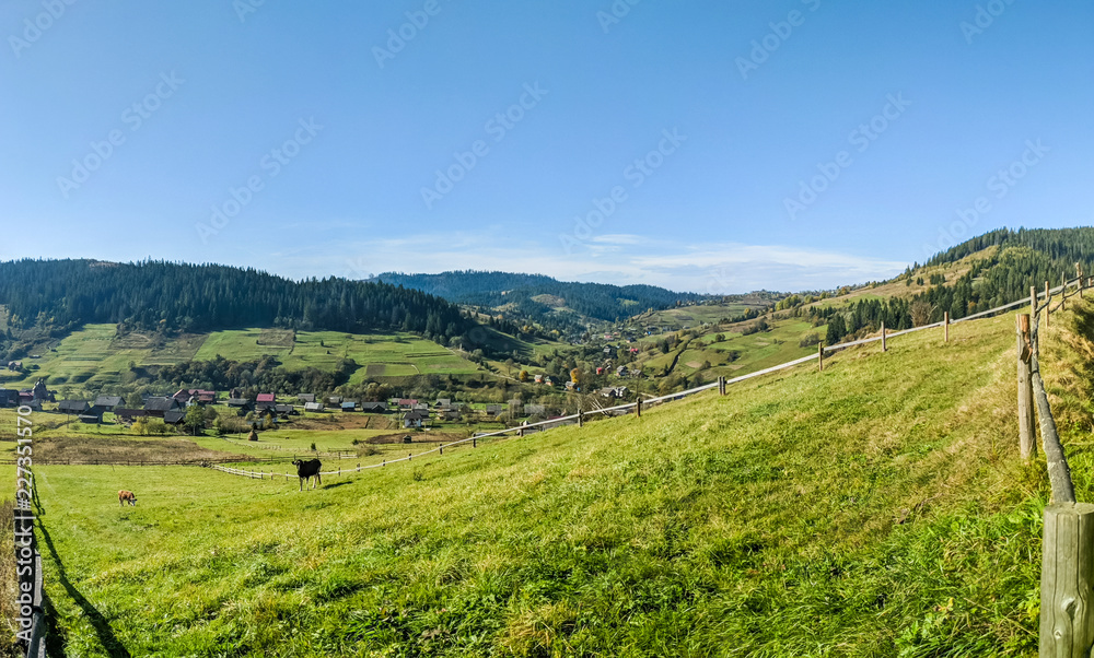 Fototapeta premium Carpathian mountains in sunny day in the autumn season