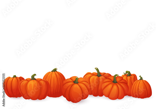 Banner with ripe orange pumpkins with green stems isolated on white background.