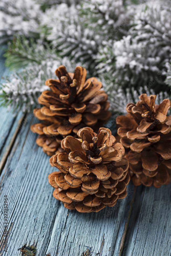 Christmas or New year festive background with pine cones Christmas or New year festive background with pine cones
