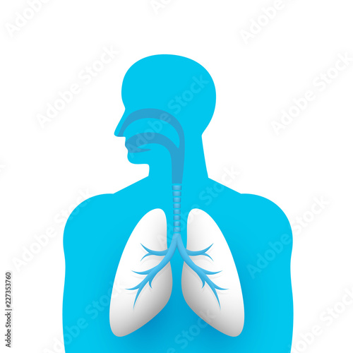 Human lungs medical art creative. Vector illustration