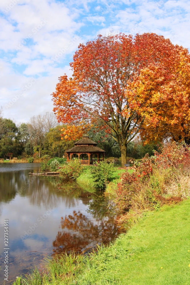 Midwest nature background with park view. Beautiful autumn landscape with colorful trees around the pond and wooden gazebo in a city park. Lakeview park, Middleton, Madison area, WI, USA.