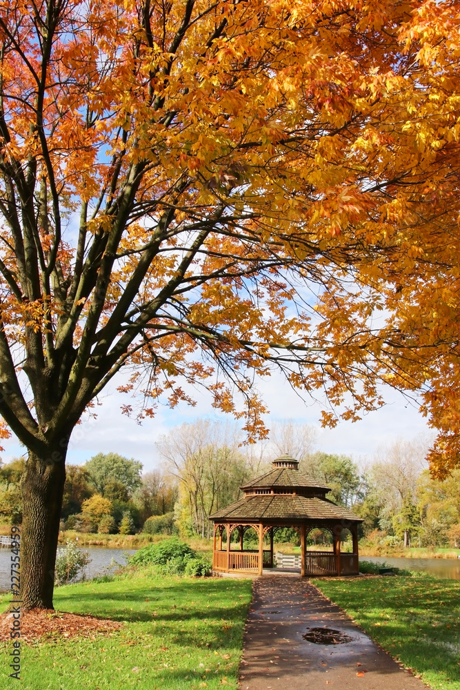 Midwest nature background with park view. Beautiful autumn landscape with colorful trees around the pond and wooden gazebo in a city park. Lakeview park, Middleton, Madison area, WI, USA. Midwest nature background with park view. Beautiful autumn landscape with colorful trees around the pond and wooden gazebo in a city park. Lakeview park, Middleton, Madison area, WI, USA.