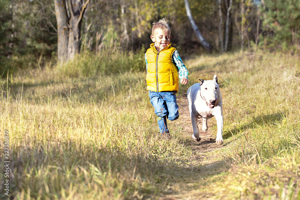 Little boy and his best friend, a white English bull terrier Little boy and his best friend, a white English bull terrier