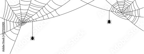 Valokuva White Halloween banner with spiderweb and spiders.