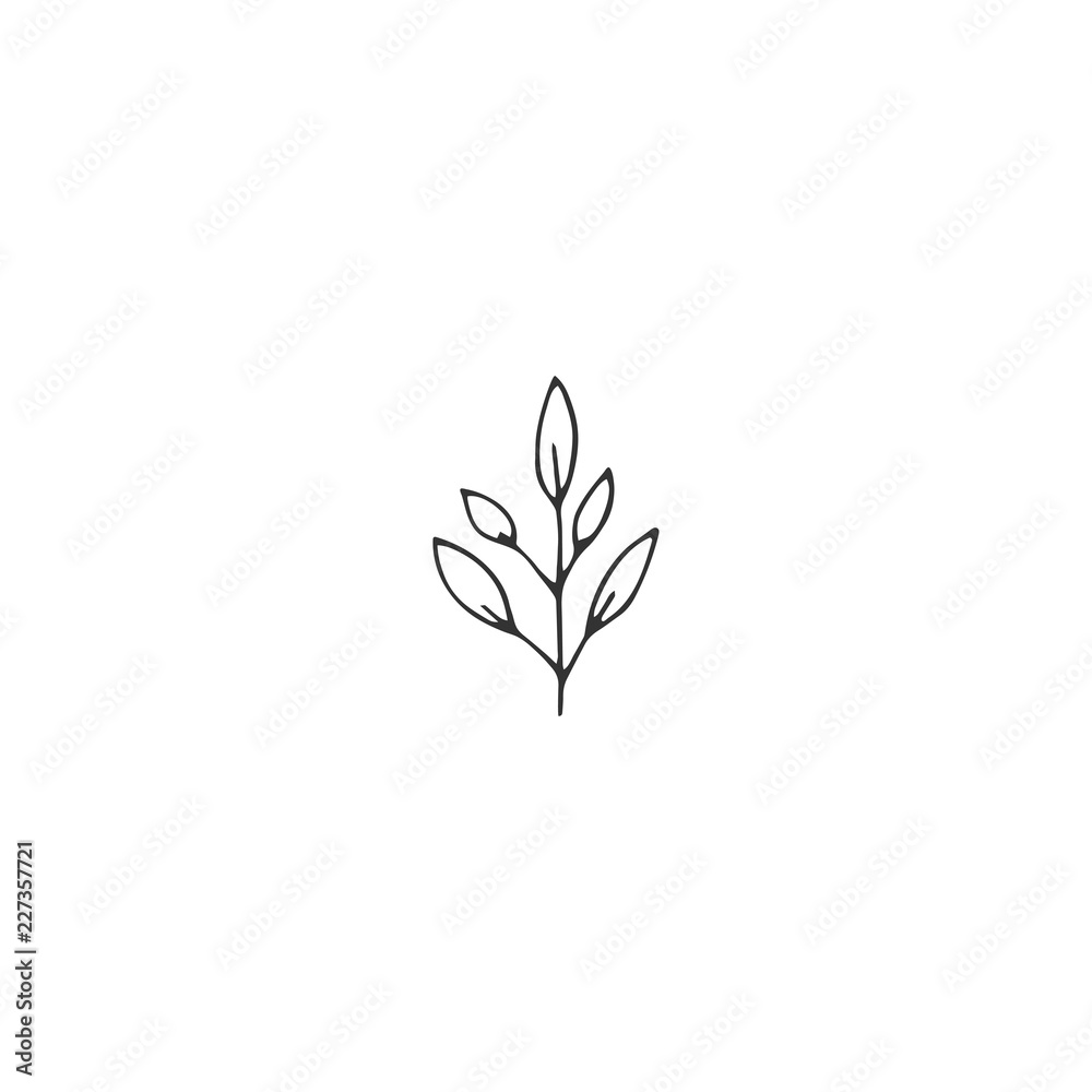 Vector floral hand drawn element in elegant and minimal style. Vector floral hand drawn element in elegant and minimal style.