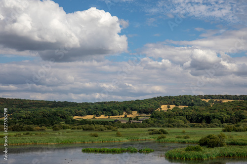 Bird Sanctuary with Reeds