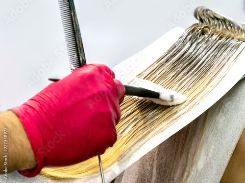 Hand in red glove with a br...