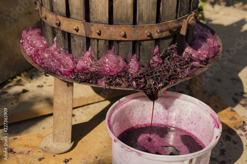 Wine-making. Technology of wine production. The folk tradition of making wine. Wine production in Moldova. The ancient tradition of grape processing. The squeezer is used to press the wine. 