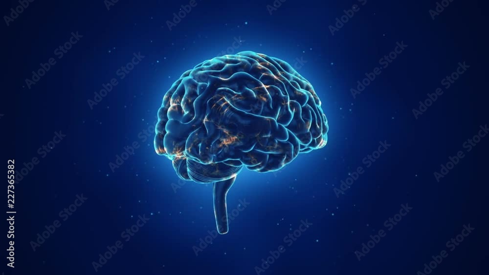 Animation of rotation human brain with flying data around. Animation of seamless loop.