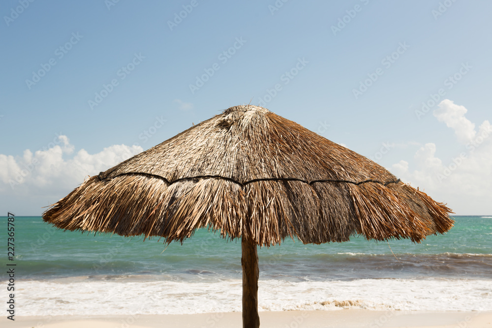 Beach Palapa Beach Palapa