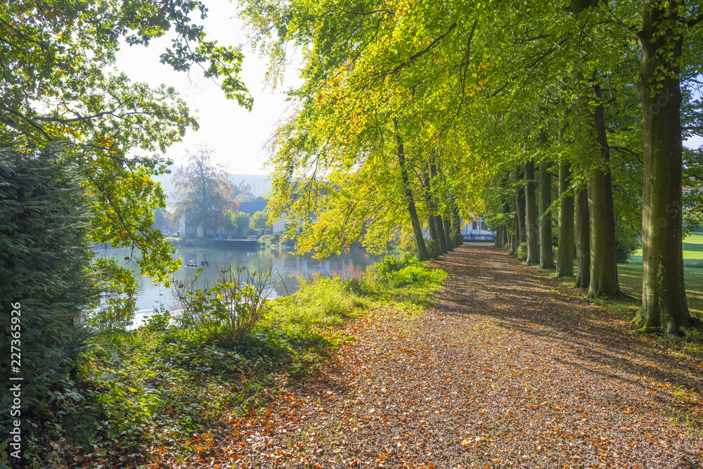 Fototapeta premium Trees in autumn colors along a stream in a meadow in sunlight at fall