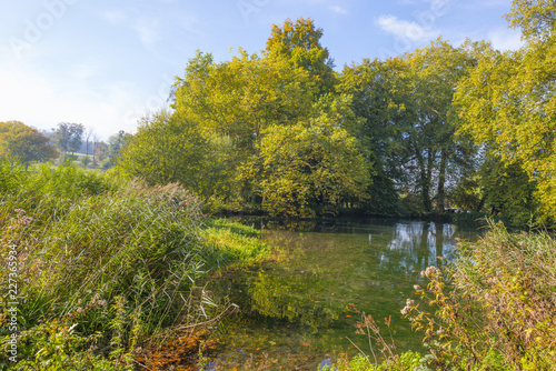 Trees in autumn colors along a stream in a meadow in sunlight at fall