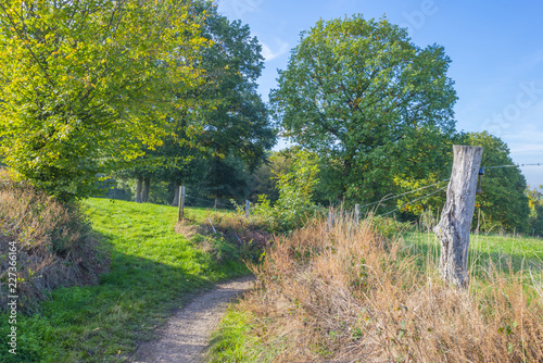 Rural landscape in autumn colors in sunlight at fall