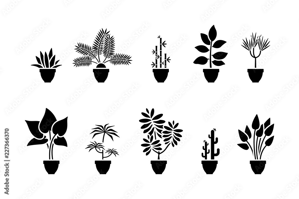 Home flowers icon set. Black pictogram of plant in pot