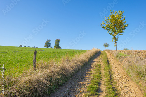 Rural landscape in autumn colors in sunlight at fall