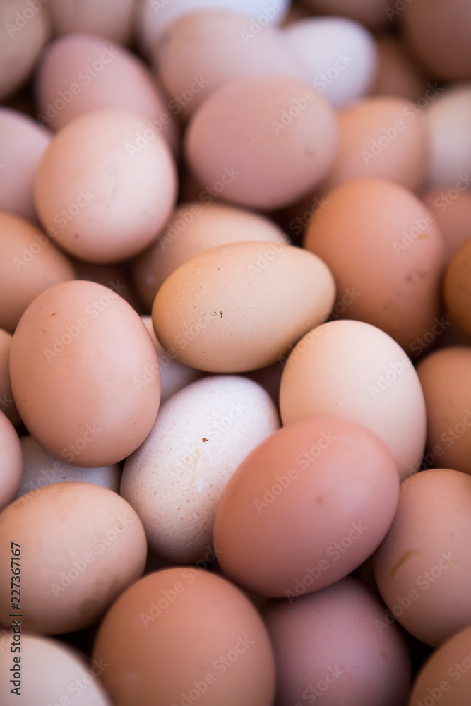 Fresh Brown Eggs, farm in Valle de Guadalupe, Mexico. Fresh Brown Eggs, farm in Valle de Guadalupe, Mexico.