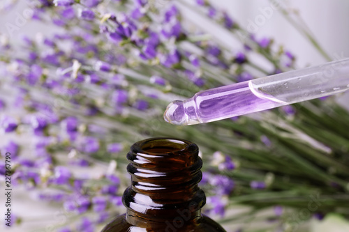 Fototapeta Naklejka Na Ścianę i Meble -  Dripping natural lavender oil into bottle against blurred background, closeup