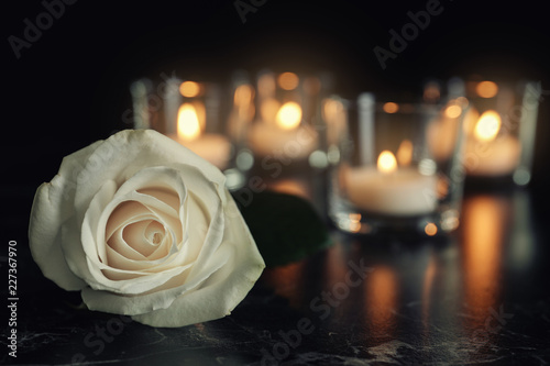Fototapeta Naklejka Na Ścianę i Meble -  White rose and blurred burning candles on table in darkness, space for text. Funeral symbol