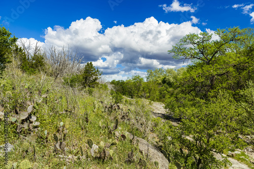 Texas Hill Country photo