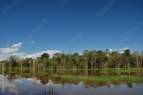 The River Amazon in the Amazon jungle near Manaus in Brazil.