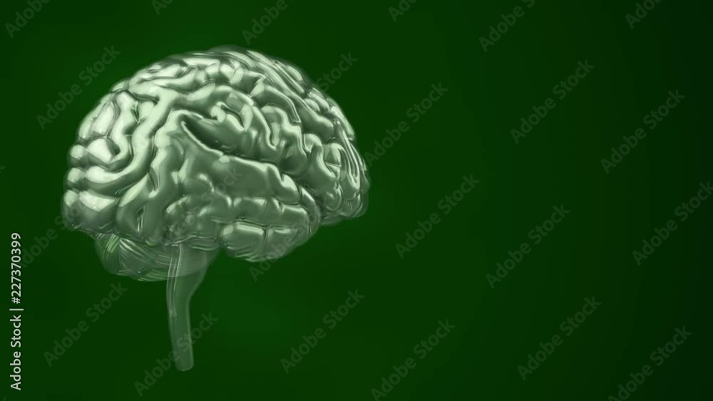 Animation of rotation human brain with flying data around. Animation of seamless loop. Animation of rotation human brain with flying data around. Animation of seamless loop.