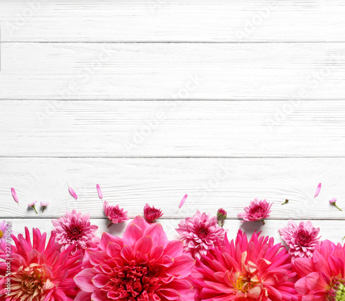 Fototapeta Naklejka Na Ścianę i Meble -  Flat lay composition with beautiful dahlia flowers and space for text on wooden background