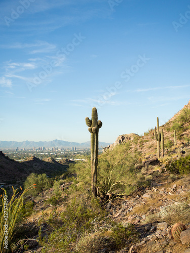 The Arizonian desert. photo