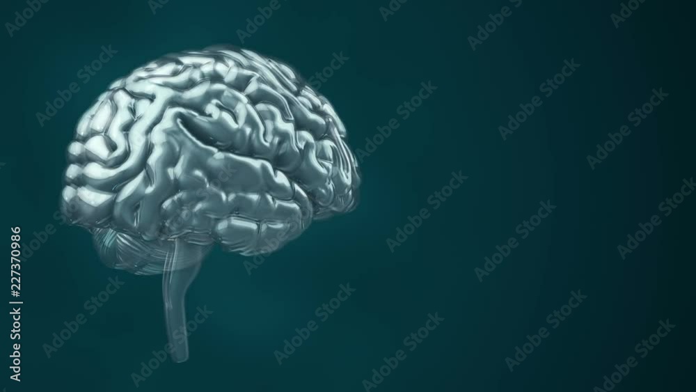 Animation of rotation human brain with flying data around. Animation of seamless loop. Animation of rotation human brain with flying data around. Animation of seamless loop.