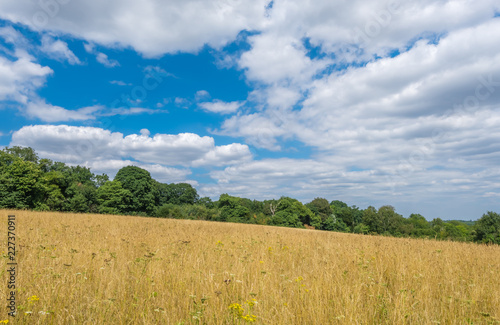 Rural countryside landscape of Surrey photo