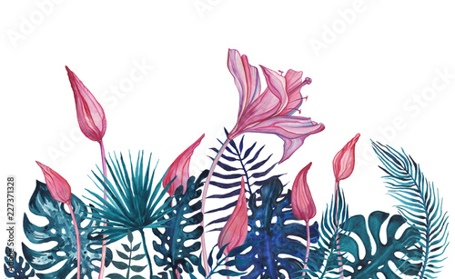 Abstract Exotic flowers. Hand painted Tropical illustration  Hand Drawn Floral Pattern. Watercolor illustration  modern style