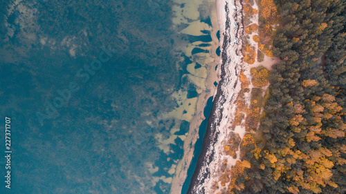 Top aerial drone view of the autumn beautiful wild beach Meremõisa full of vegetation, coast of the Baltic Sea in Estonia