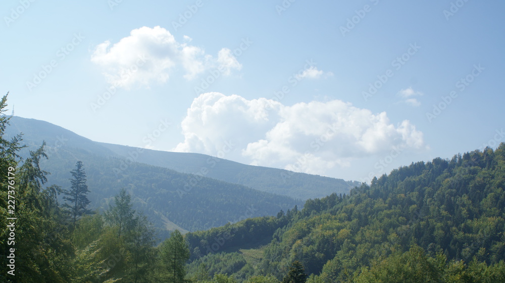 Naklejka premium SONY DSC