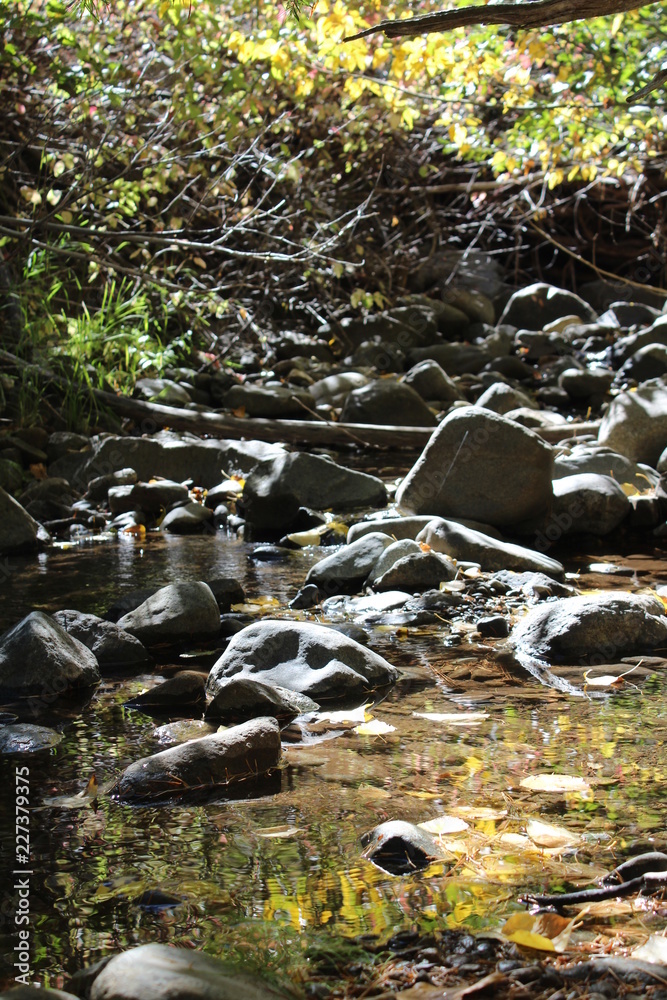 Naklejka premium Lights Creek California