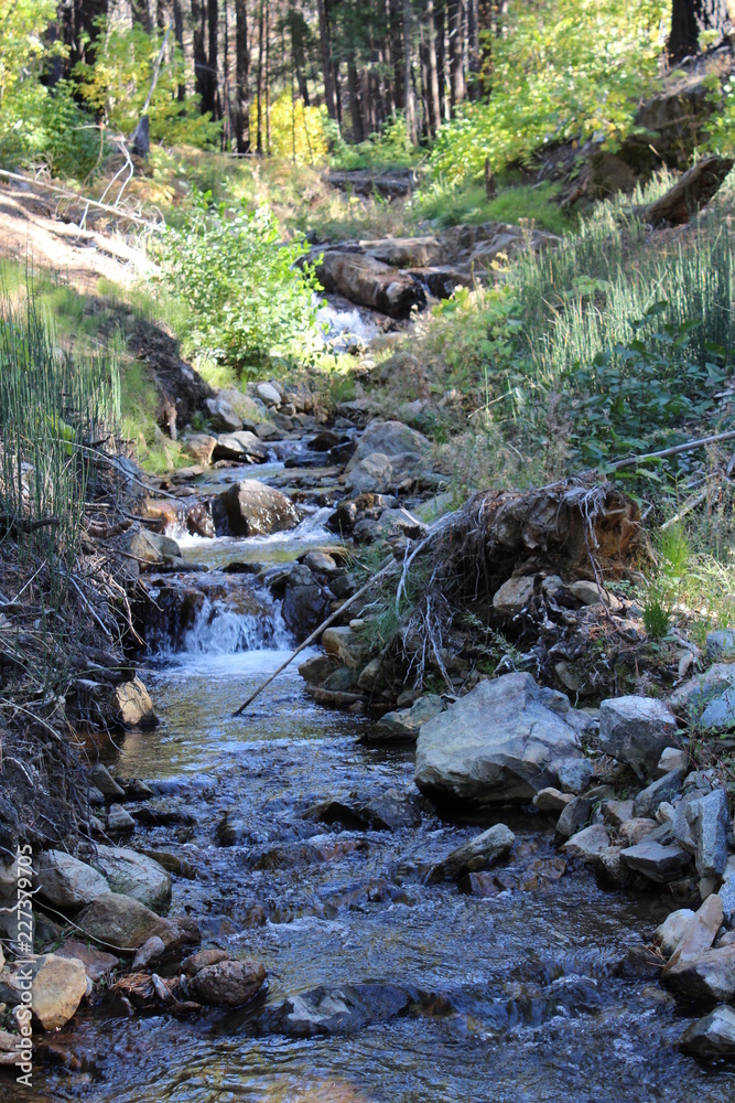 Lights Creek California