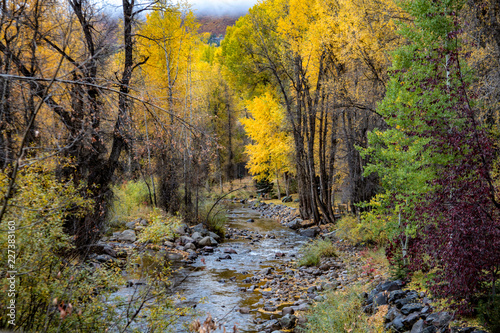 Autumn Color