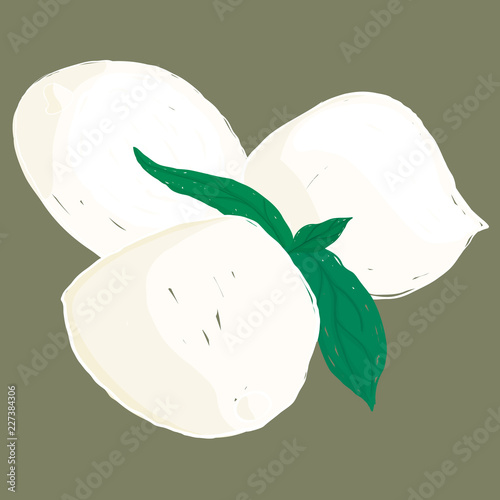 Vector painterly mozzarella cheese and basil; editable, scalable illustration.