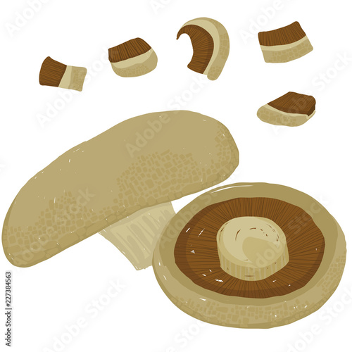 Vector painterly Portobello mushrooms editable, scalable illustration.