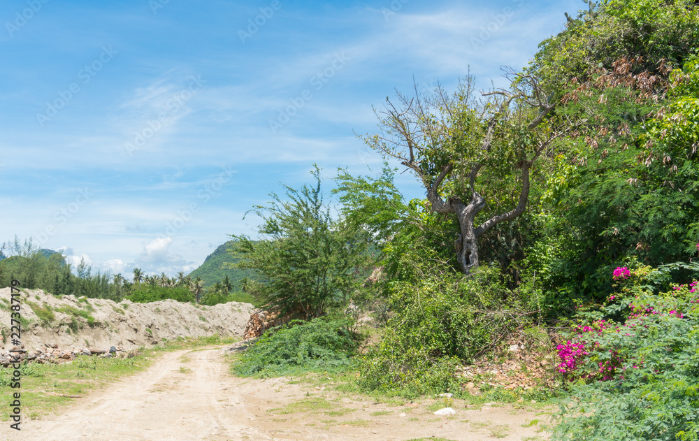 Green Tree on Small Mountain and Mound or Pile on Blue Sky BG Green Tree on Small Mountain and Mound or Pile on Blue Sky BG