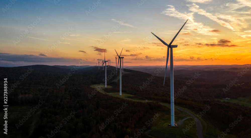 Obraz premium Wind Into Tomorrow