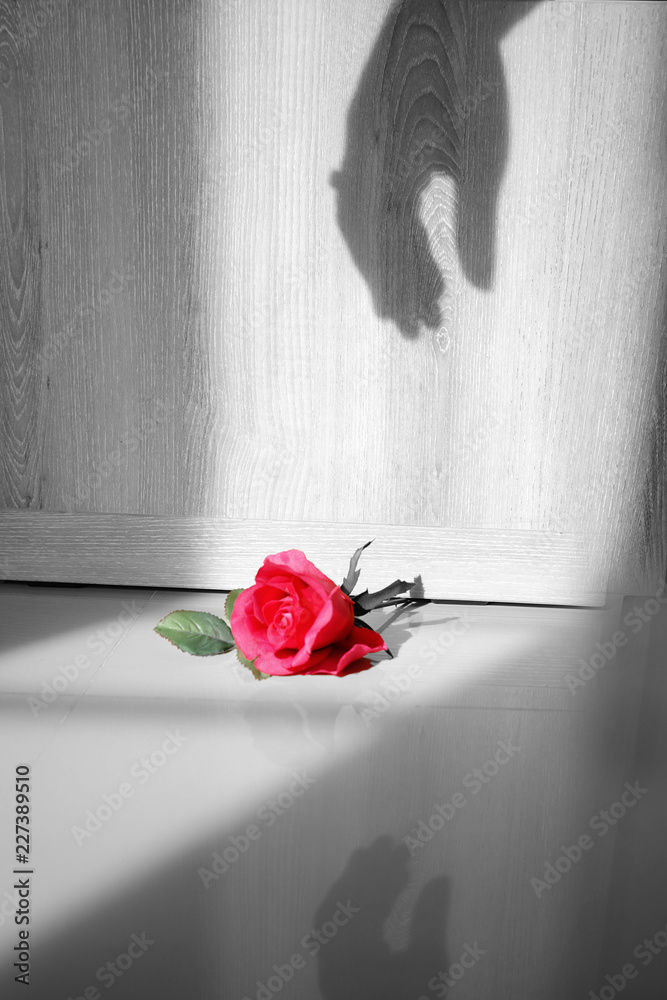 Shadowed Red Hand Shadow hand reach the red rose .love cobcept Stock Photo | Adobe Stock
