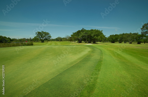 Tranquil and clean green beautiful golf field .