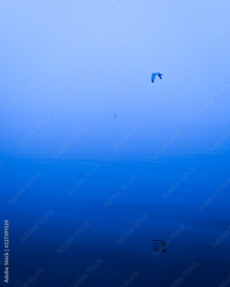 Lone seagull flying over the water in the blue mist