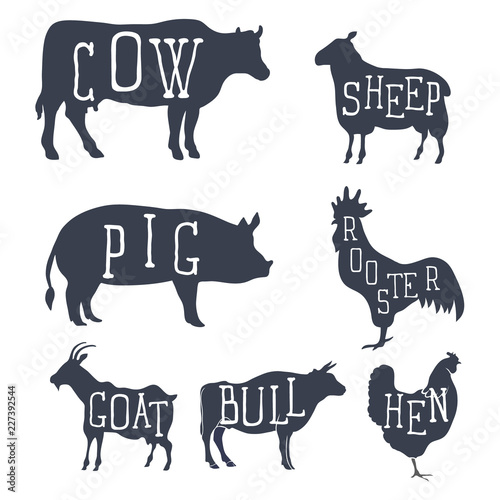 Farm animals, vector set icons. Collection of silhouettes such as cow, bull, sheep, pig, rooster, chicken, hen, goat. Vector photo