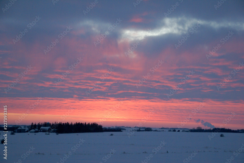 Winter pink sunset with fluffy clouds over snow covered field