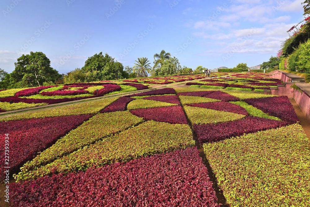 Φωτογραφία Tropical Botanical Gardens in Funchal, capital of Madeira island, Portugal