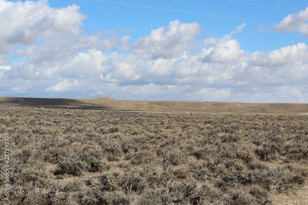 Φωτογραφία Wyoming's vast grazing land and sagebrush goes as far as the eye can see
