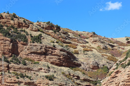 desert hillside and rock face dotted with stones and small bushes and rocks bright blue sky with small white cloud in the sky.